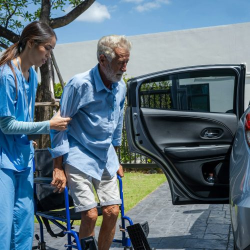 Nurse takes care of a disabled elderly person in a wheelchair into a car.